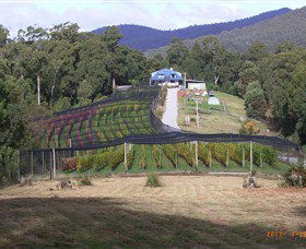North Motton TAS Accommodation Redcliffe