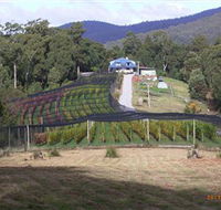 Motton Terraces - Accommodation Redcliffe