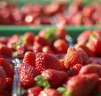 Turners Beach Berry Patch - Accommodation Redcliffe