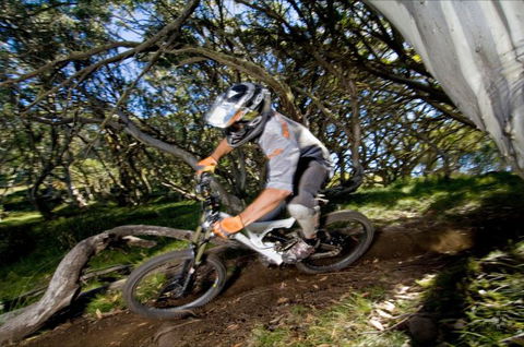 All Terrain Cycles - Accommodation Redcliffe 0