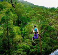 Canyon Flyer - Accommodation Redcliffe