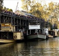 Murray River Paddelsteamers - Echuca Paddlesteamers - Accommodation Redcliffe