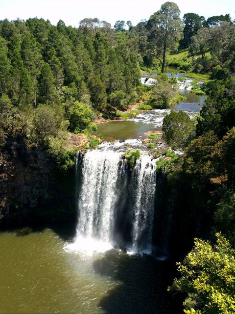 A1 Coffs Coast Tours - Accommodation Redcliffe 5