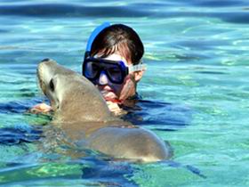 Gawler Ranges Wilderness Safaris - Accommodation Redcliffe 2