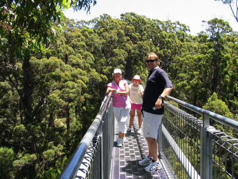 Out Of Sight Tours - Accommodation Redcliffe 17