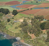 Winged House - The - Accommodation Redcliffe