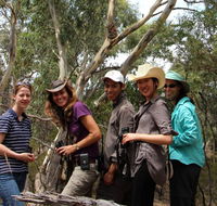 Echidna Walkabout Nature Tours - Accommodation Redcliffe