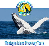 Lighthouse Charters Narooma