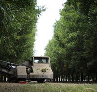 ODempseys Charters and Tours - Accommodation Redcliffe