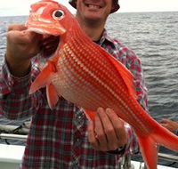Goin' Off Safaris - Accommodation Redcliffe