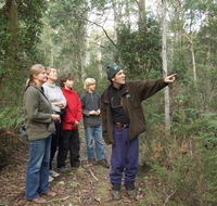 Great Western Tiers Forest Walks Tasmania - Accommodation Redcliffe