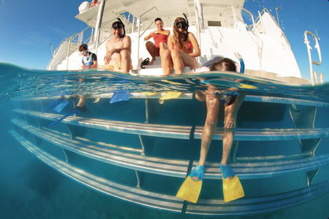 Australian Sunset Safaris - Accommodation Redcliffe 5