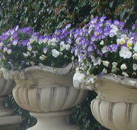 Gardenalia Open Garden and Rare Plant Nursery - Accommodation Redcliffe