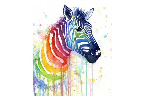 Rainbow Zebra - 65 Northbourne 7.30-9.30pm - Accommodation Redcliffe 0