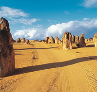 Pinnacles Desert Koalas and Sandboarding 4WD Day Tour from Perth - Accommodation Redcliffe