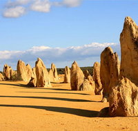 Pinnacles and Yanchep National Park Day Trip from Perth Including Lobster Shack Lunch and Sandboarding - Accommodation Redcliffe