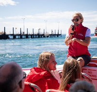 Rottnest Island Tour from Perth or Fremantle including Adventure Speed Boat Ride - Accommodation Redcliffe