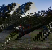 Stargazing Busselton with Mobile Observatory - Accommodation Redcliffe