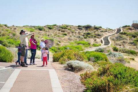 Margaret River Coastal And Wildlife Eco Trip From Busselton Or Dunsborough - Accommodation Redcliffe 1