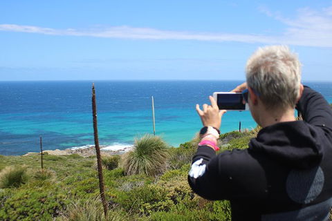 Margaret River Coastal And Wildlife Eco Trip From Busselton Or Dunsborough - Accommodation Redcliffe 12
