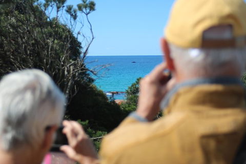 Margaret River Coastal And Wildlife Eco Trip From Busselton Or Dunsborough - Accommodation Redcliffe 9