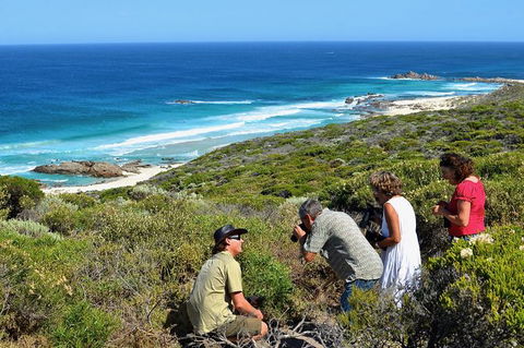 Margaret River Coastal And Wildlife Eco Trip From Busselton Or Dunsborough - Accommodation Redcliffe 2