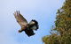 Margaret River Coastal And Wildlife Eco Trip From Busselton Or Dunsborough - thumb 3