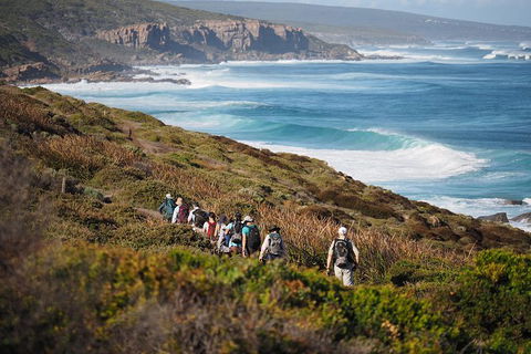 8-Day Cape To Cape Track Guided Walking Tour From Perth - Accommodation Redcliffe 0