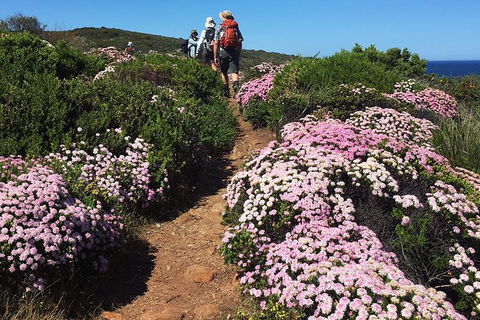 8-Day Cape To Cape Track Guided Walking Tour From Perth - Accommodation Redcliffe 4