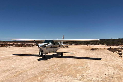 Kalbarri Gorges & West Coast - Ground & Air Tour - Accommodation Redcliffe 6