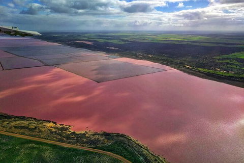 Kalbarri, Pink Lake And Abrolhos Islands Nature Tour - Accommodation Redcliffe 3