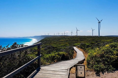 Torndirrup National Park And Bay Highlights - Accommodation Redcliffe 0