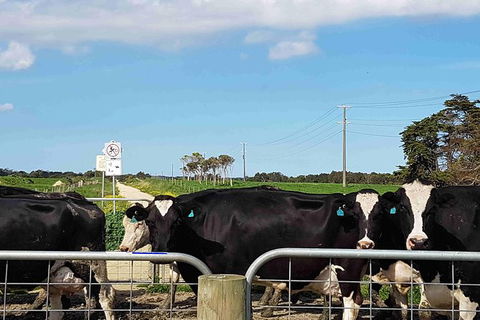 Great Southern Getaway Cycle Tour - Accommodation Redcliffe 9