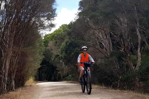 Great Southern Getaway Cycle Tour - Accommodation Redcliffe 4