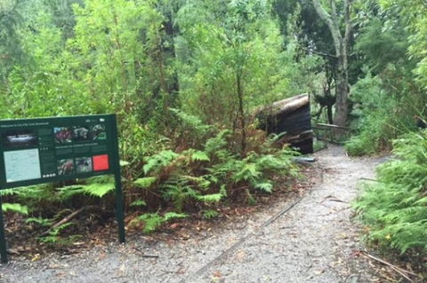 Wilsons Promontory Walking And Sightseeing Tour From Phillip Island - Accommodation Redcliffe 1
