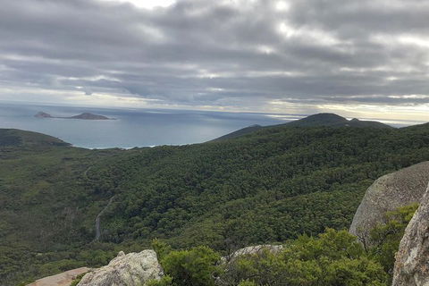 Wilsons Promontory Walking And Sightseeing Tour From Phillip Island - Accommodation Redcliffe 5