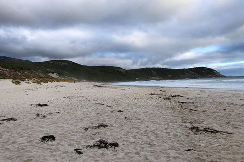 Wilsons Promontory Walking And Sightseeing Tour From Phillip Island - Accommodation Redcliffe 11
