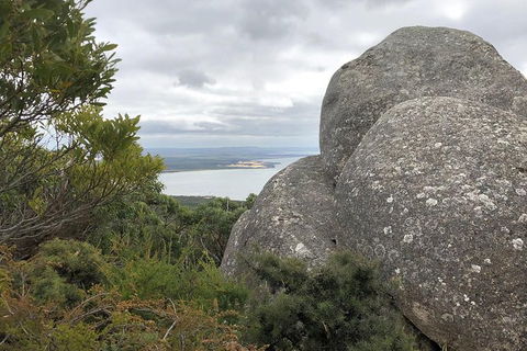 Wilsons Promontory Walking And Sightseeing Tour From Phillip Island - Accommodation Redcliffe 15