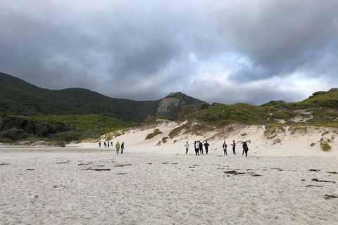 Wilsons Promontory Walking And Sightseeing Tour From Phillip Island - Accommodation Redcliffe 4