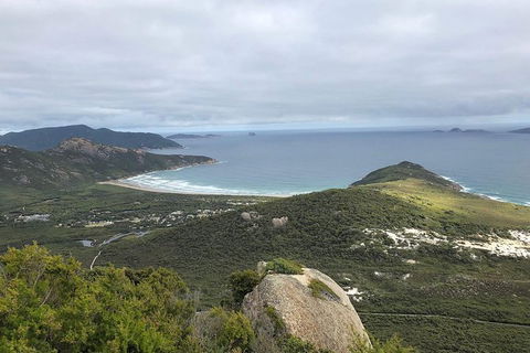 Wilsons Promontory Walking And Sightseeing Tour From Phillip Island - Accommodation Redcliffe 12