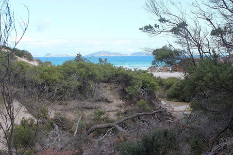Wilsons Promontory Walking And Sightseeing Tour From Phillip Island - Accommodation Redcliffe 14