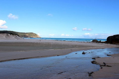 Wilsons Promontory Walking And Sightseeing Tour From Phillip Island - Accommodation Redcliffe 3