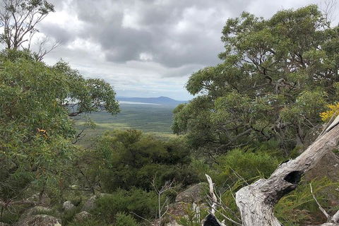Wilsons Promontory Walking And Sightseeing Tour From Phillip Island - Accommodation Redcliffe 13