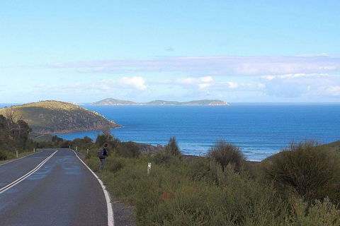 Wilsons Promontory Walking And Sightseeing Tour From Phillip Island - Accommodation Redcliffe 2