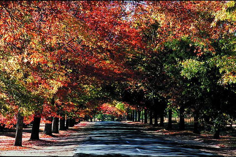 Macedon Ranges Small Group Wine Tour With 2 Course Lunch And Morning Tea - Accommodation Redcliffe 3