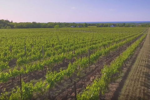 Macedon Ranges Small Group Wine Tour With 2 Course Lunch And Morning Tea - Accommodation Redcliffe 5