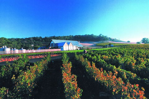 Macedon Ranges Small Group Wine Tour With 2 Course Lunch And Morning Tea - Accommodation Redcliffe 4