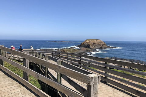 Day Tour Of Phillip Island, The Surrounding Region And Wine Tasting - Accommodation Redcliffe 14
