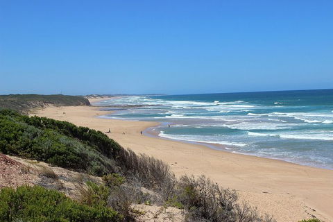 Day Tour Of Phillip Island, The Surrounding Region And Wine Tasting - Accommodation Redcliffe 5