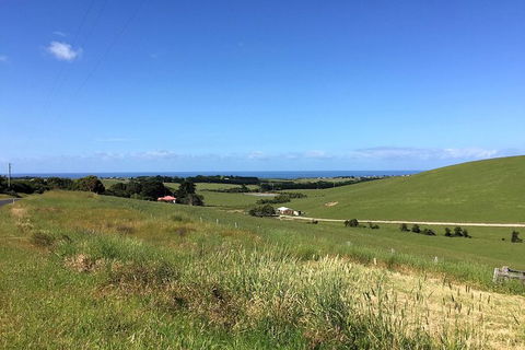 Day Tour Of Phillip Island, The Surrounding Region And Wine Tasting - Accommodation Redcliffe 6